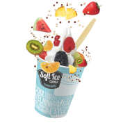 Shuffle Vers Fruit,Soft Ice Corner;4,95